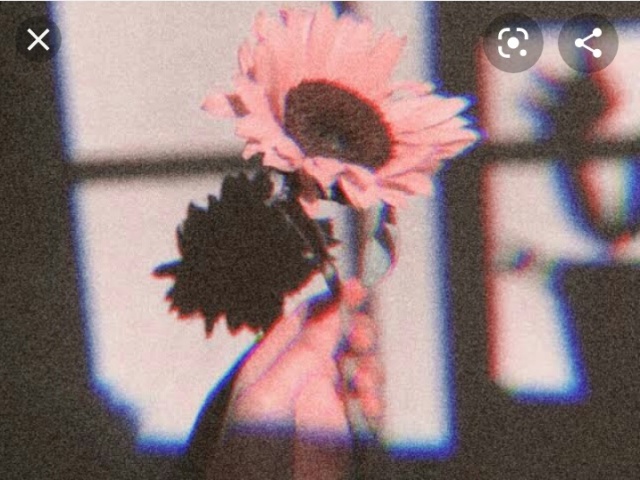 Flor🍧🍓