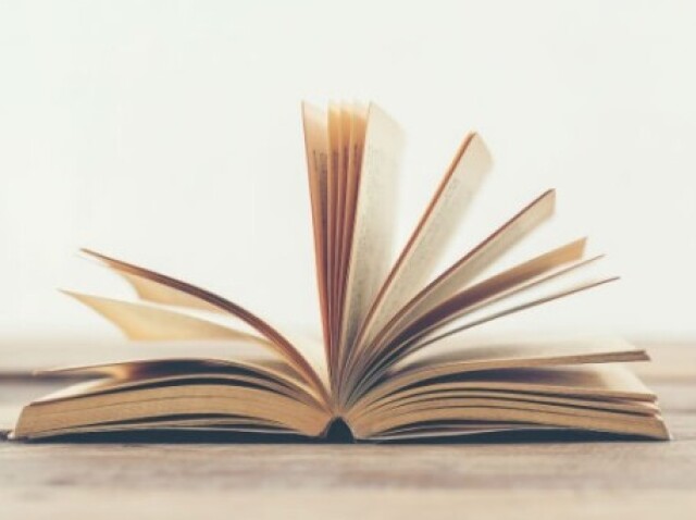 Quem escreveu o livro?