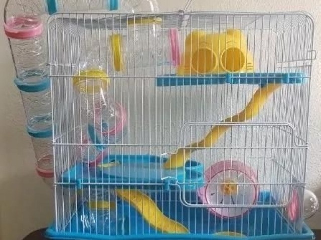 🐹