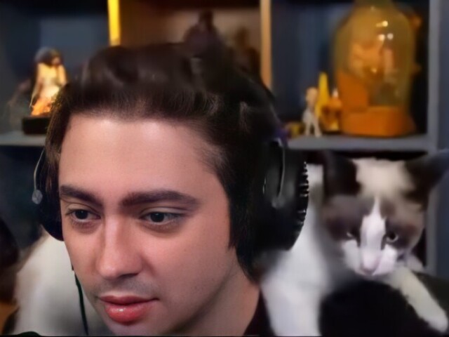 alan e os gato