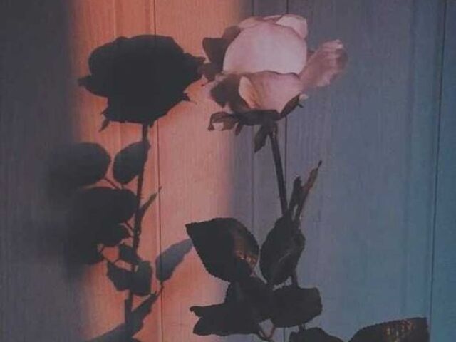 Enfim...