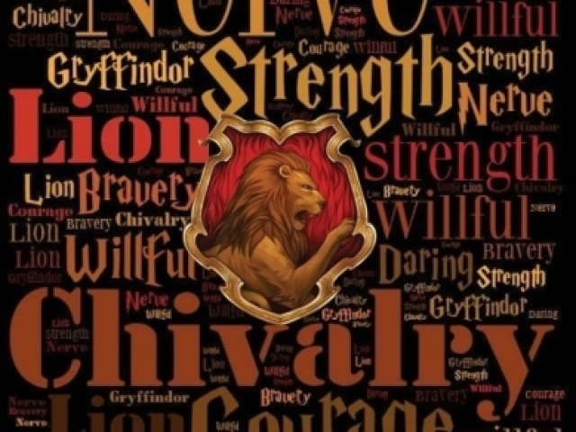 Grifinória(Gryffindor)🦁❤