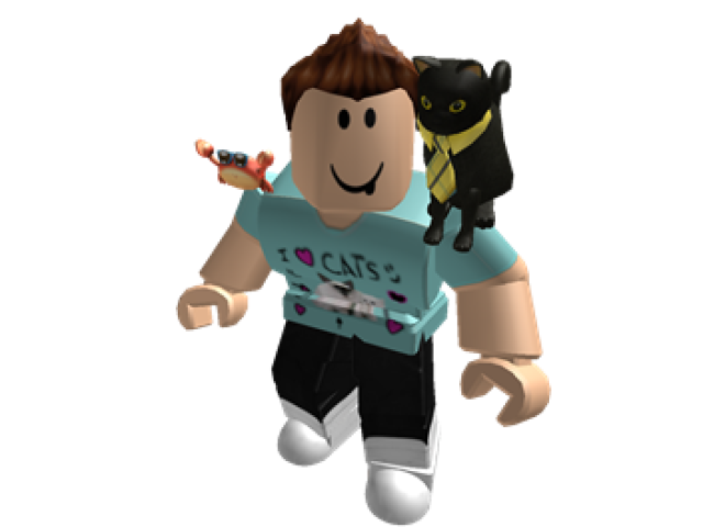 skin roblox