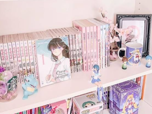 Livros e bonecos de Anime