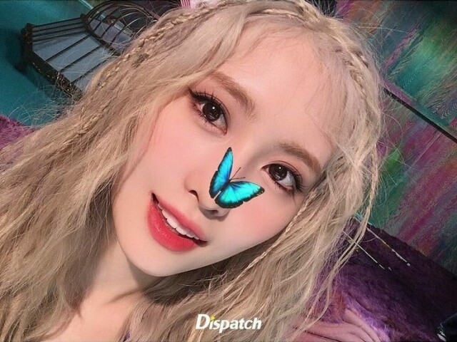 💖Momo💖
