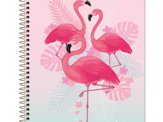 Rosa com flamingo maravilhoso!!