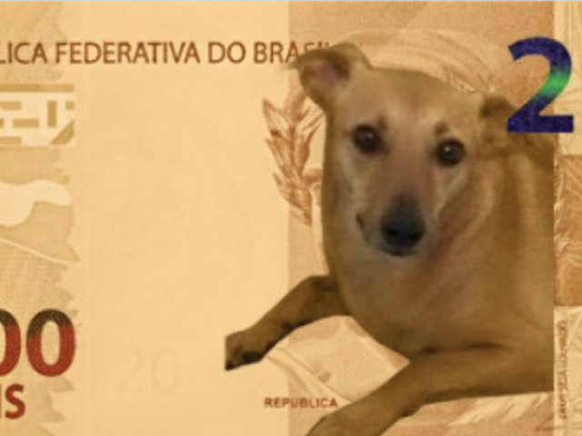 CACHORRO