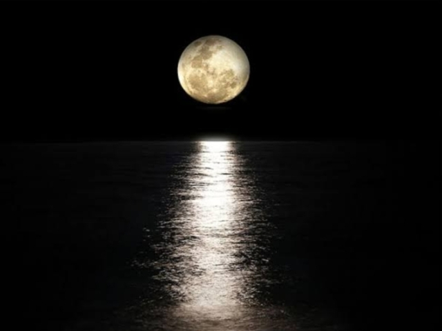 Lua 🌙 ̷̙̘̹̃̀̉