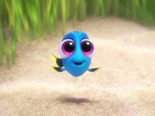 Baby Dory