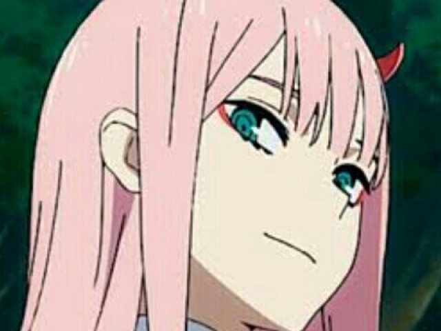 ^v^Zero Two!!!