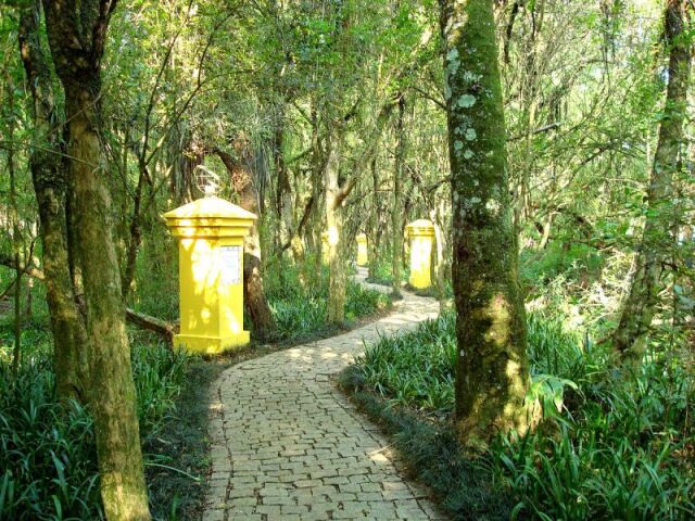 Um bosque ou parque,um lugar ao ar livre