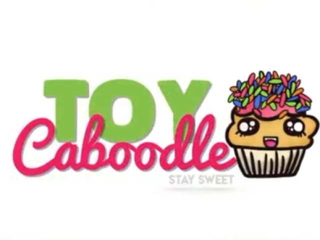 Toy caboodle