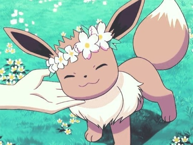 Eevee ✨