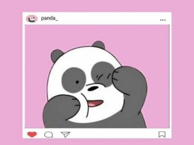 Panda 🐼