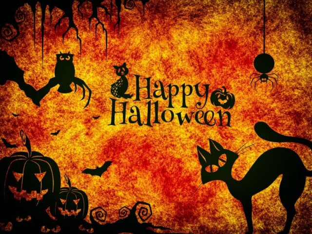 Halloween - o que você sabe sobre o universo Wicca?