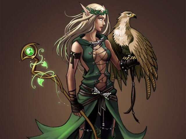 Druida