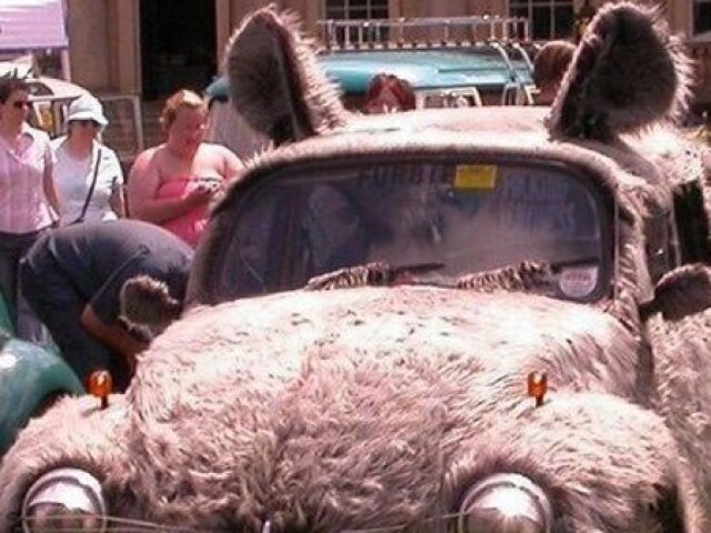 FUSCA FURRY