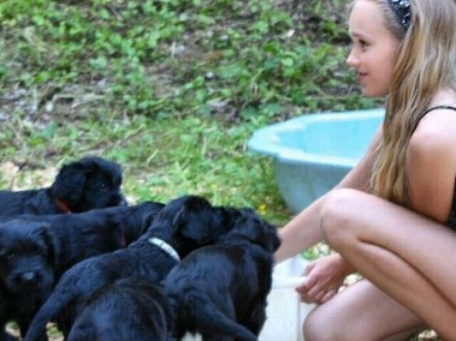 pet da sina: são 4 cachorros, só q ela os deu para seu primo mais novo, já que quando ela fazia tour fora do país, os cachorrinhos ficavam tristes e doentes, mas ela não podia leva-los.