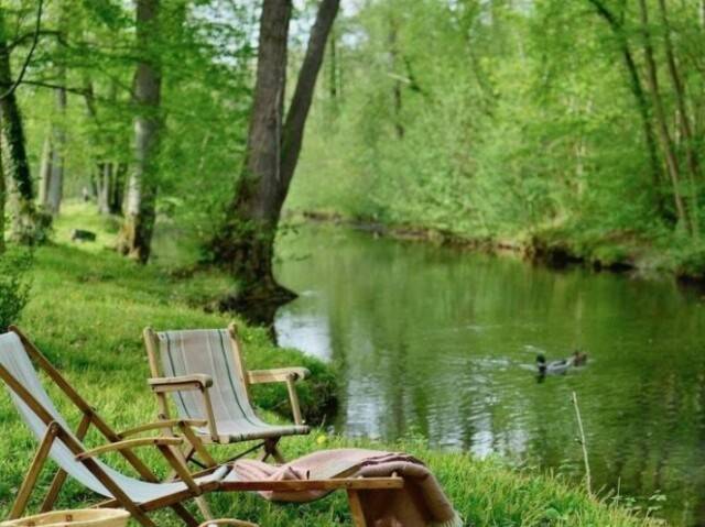 Lago/Floresta