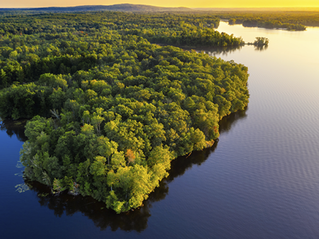 amazônia