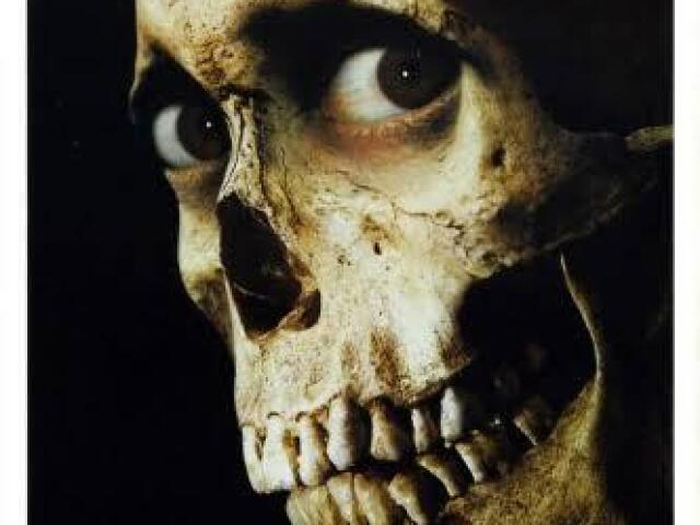 Evil Dead 2