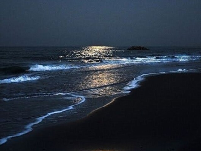 Caminhada na praia à noite❤️