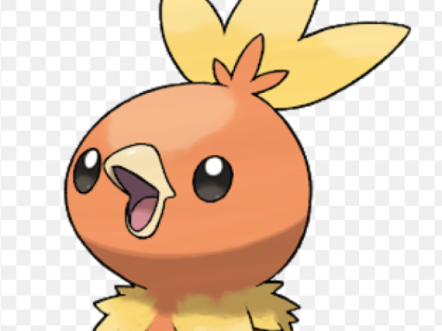 Torchic