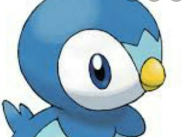 Piplup