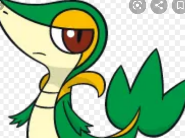 Snivy