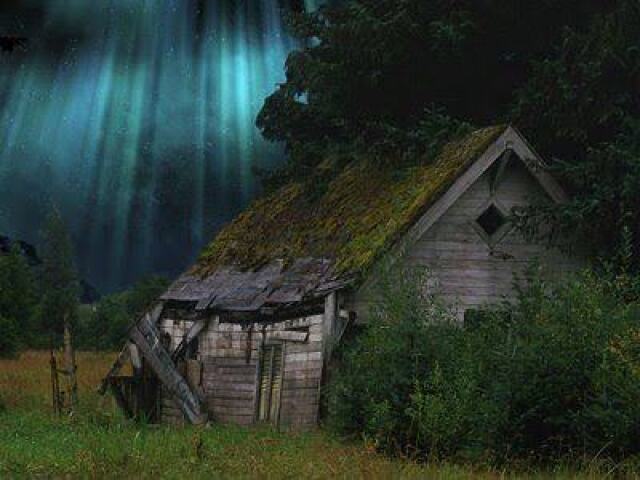 Cabana abandonada no meio da floresta