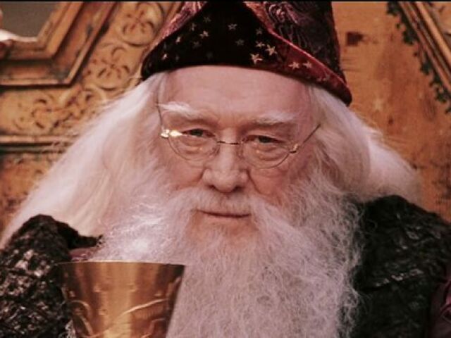 Sempre foi Dumbledore