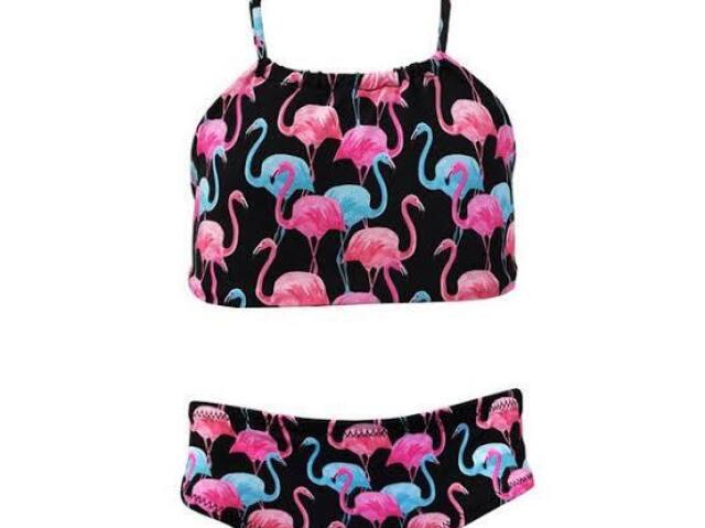 Flamingos