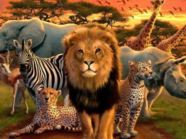 Qual animal selvagem você é?
