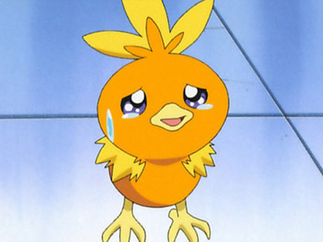 Porque ela não gostou do Torchic dela