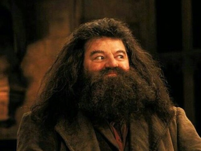 Rubeus Hagrid