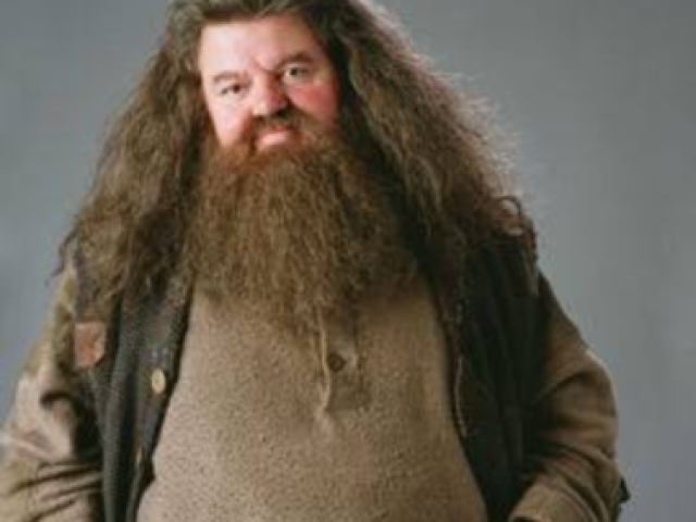 Hagrid