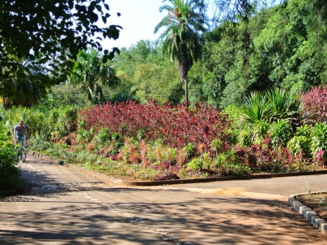 parque