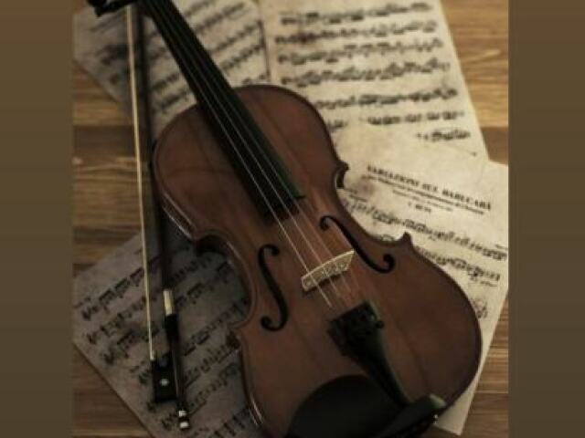 Violino