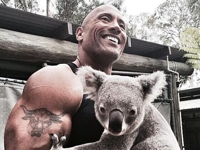 the rock