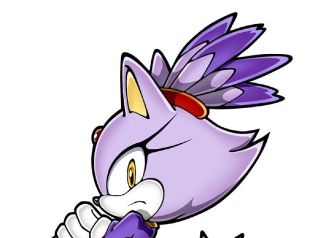 Blaze The cat