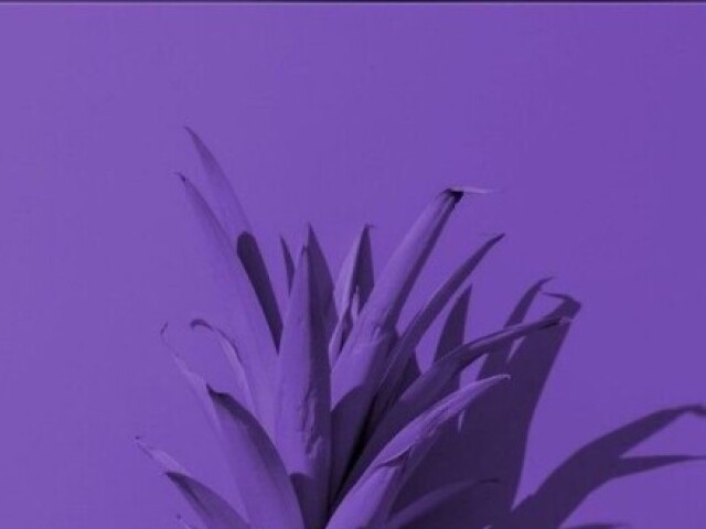 Roxo