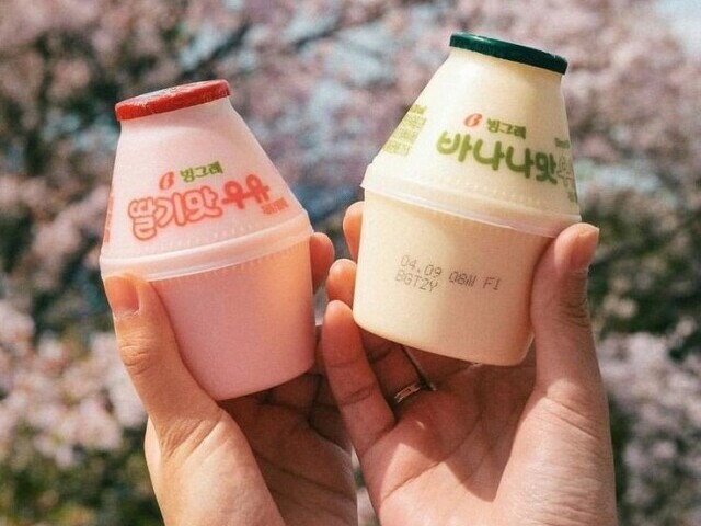 Fermented milk Korea🥛