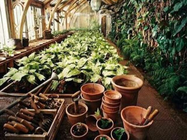 Herbologia