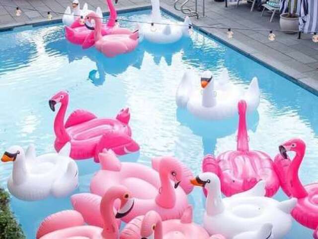 Gosto de boias de flamingo,pato e cisneis!!!