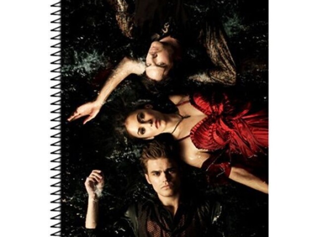 The vampire Diaries