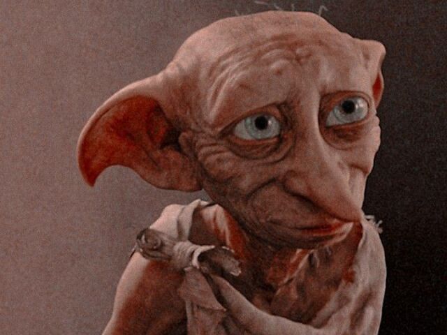 Elfo Dómestico -Dobby-