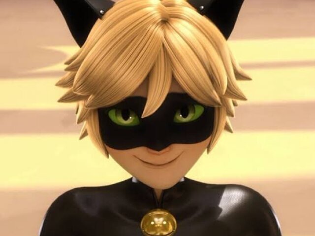 Cat noir