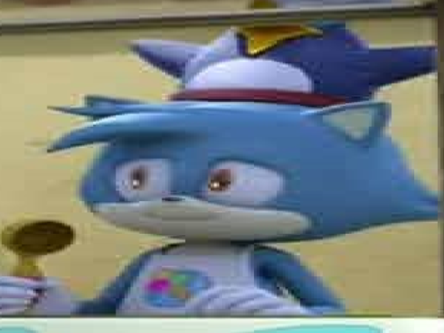 gato menino)
