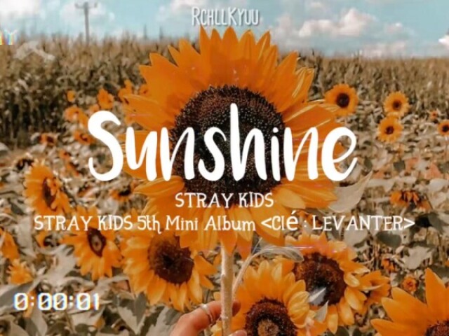 🌻SUNSHINE- SKZ