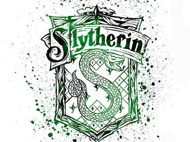 SLYTHERIN💚🐍